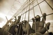 A daily bulletin of the Palestinian detainees’ news published by the Ministry of Detainees Affairs- Gaza